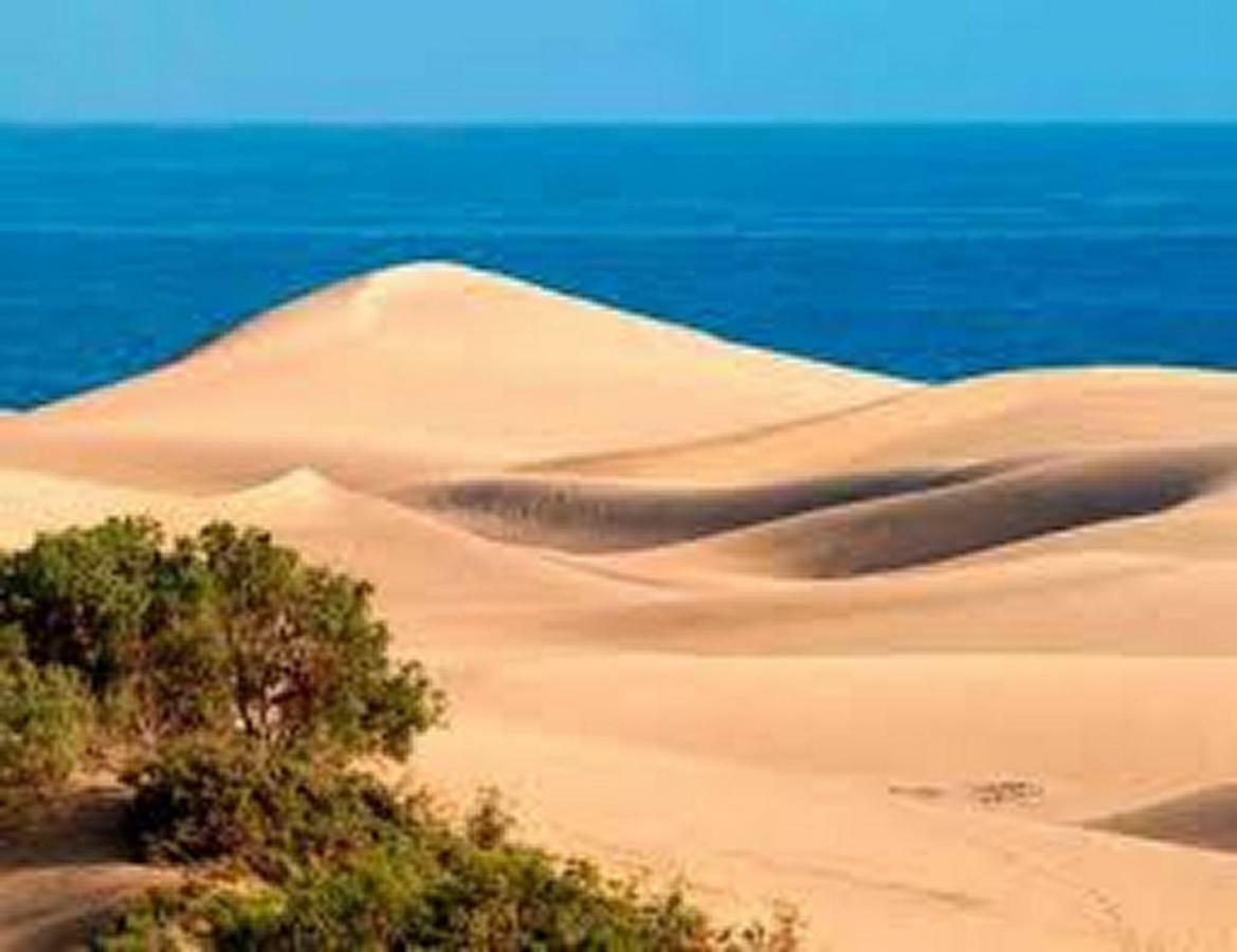 Bungalow Dunas&Sea Maspalomas Маспаломас Экстерьер фото